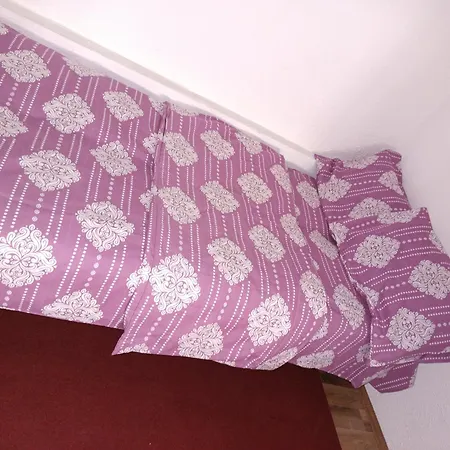 Zvezdara Olimp Bgd Belgrád